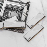 ADATA DIMM 64 GB DDR5-6000 (2x 32 GB) Dual-Kit, Arbeitsspeicher weiß, AX5U6000C3032G-DCLAWH, Lancer, INTEL XMP