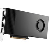 PNY NVIDIA RTX PRO 4000 Blackwell 24GB PB, Grafikkarte Retail
