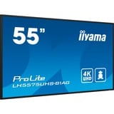 iiyama ProLite LH5575UHS-B1AG, Public Display schwarz (matt), UltraHD/4K, IPS, Lautsprecher, SDM-Slot