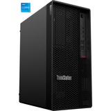 Lenovo ThinkStation P360 Tower (30FM008CGE), PC-System schwarz, Windows 10 Pro 64-Bit