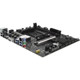 SAPPHIRE A520M-E, Mainboard 