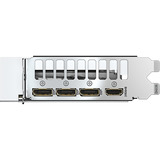 AORUS GeForce RTX 5060 AORUS ARI 8G, Grafikkarte weiß, DLSS 5, 3x DisplayPort, 1x HDMI 2.1