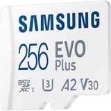 SAMSUNG EVO Plus 256 GB microSDXC (2024), Speicherkarte weiß, UHS-I U1, Class 10, V10, A1