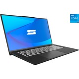 Schenker WORK 17 M23 (10506248), Notebook schwarz, Windows 11 Pro 64-Bit, 60 Hz Display, 1 TB SSD
