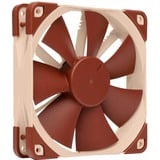 Noctua NF-F12 PWM, Gehäuselüfter hellbraun, Retail