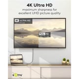 goobay USB Adapterkabel, USB-C Stecker > HDMI Stecker, 4K / 60Hz schwarz, 2 Meter