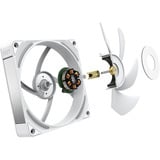 NZXT Performance Fan F120X, Gehäuselüfter weiß, 120 mm