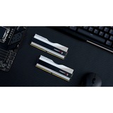 G.Skill DIMM 32 GB DDR5-6600 (2x 16 GB) Dual-Kit, Arbeitsspeicher silber, F5-6600J3440G16GX2-TZ5RS, Trident Z5 RGB, INTEL XMP