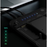ICY BOX IB-2913MCL-C31, Dockingstation 2,5"/3,5" SATA, M.2 NVMe