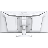 EIZO FlexScan EV3851X, LED-Monitor 95.3 cm (37.5 Zoll), weiß, Curved, HDMI, DP, USB-C, USB-Hub