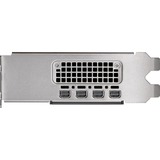 PNY NVIDIA RTX 2000 Ada Generation 16GB PB, Grafikkarte 