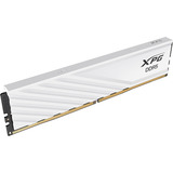 ADATA DIMM 16 GB DDR5-6000, Arbeitsspeicher weiß, AX5U6000C3616G-SLABWH, XPG Lancer Blade, INTEL XMP, AMD EXPO