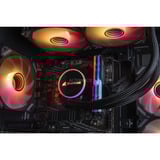 ALTERNATE Gaming-PC Special Edition • RTX 4060 • AMD Ryzen™ 5 5600 • 32 GB RAM schwarz/transparent, Windows 11 Home 64-Bit