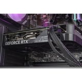ALTERNATE Gaming-PC Special Edition • RTX 4060 • AMD Ryzen™ 5 5600 • 32 GB RAM schwarz/transparent, Windows 11 Home 64-Bit