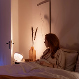 Philips Hue White & Color Ambiance Iris Tischleuchte Special Edition, LED-Leuchte schwarz