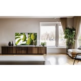 TCL 40S5L, QLED-Fernseher 100.3 cm (40 Zoll), schwarz, FullHD, Triple Tuner
