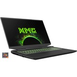 APEX 17 M23 (10506228), Gaming-Notebook