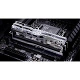 G.Skill DIMM 32 GB DDR5-6800 (2x 16 GB) Dual-Kit, Arbeitsspeicher silber, F5-6800J3445G16GX2-TR5S, Trident Z5 Royal Silver, INTEL XMP