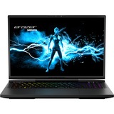 Medion ERAZER Beast X40 (MD62507), Gaming-Notebook schwarz, Windows 11 Home 64-Bit, 43.2 cm (17 Zoll) & 240 Hz Display, 2 TB SSD