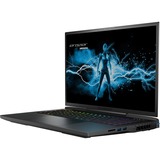 Medion ERAZER Beast X40 (MD62507), Gaming-Notebook schwarz, Windows 11 Home 64-Bit, 43.2 cm (17 Zoll) & 240 Hz Display, 2 TB SSD