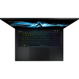 Medion ERAZER Beast X40 (MD62507), Gaming-Notebook schwarz, Windows 11 Home 64-Bit, 43.2 cm (17 Zoll) & 240 Hz Display, 2 TB SSD