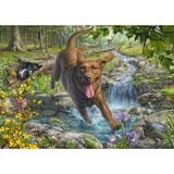 Schmidt Spiele Mark Fredrickson: Hundeliebe - Frühlingsspaziergang mit Labrador Retriever, Puzzle 1000 Teile
