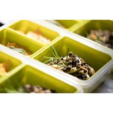 Emsa CLIP & GO Snackbox 1,2 Liter, Lunch-Box hellgrün/transparent, mit 3 extra Einsätzen