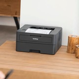 Brother HL-L2400DWE, Laserdrucker dunkelgrau, USB, WLAN, EcoPro