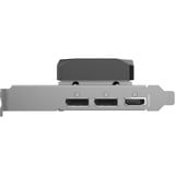 ZOTAC GeForce RTX 5060 Low Profile, Grafikkarte DLSS 4, 3x DisplayPort, 1x HDMI 2.1