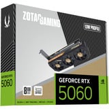 ZOTAC GeForce RTX 5060 Low Profile, Grafikkarte DLSS 4, 3x DisplayPort, 1x HDMI 2.1
