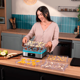 Cecotec VitaDry Pro Dörrautomat edelstahl/transparent, 300 Watt, 5 höhenverstellbare Fächer