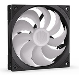ENDORFY Fluctus 140 PWM ARGB, Gehäuselüfter schwarz/transparent, 140 mm