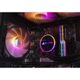 ALTERNATE Gaming-PC Special Edition • RTX 4060 • Intel® Core™ i5-12400F • 32 GB RAM schwarz/transparent, Windows 11 Home 64-Bit