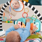 Fisher-Price Kontrast Kick & Play Pianospieldecke, Spielbogen/Decke deutsche Version