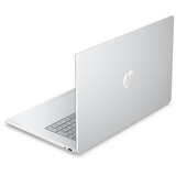 HP OmniBook 3 17-dg0050ngx, Notebook silber, Intel® Core™ Ultra 5 225U, Intel® Graphics, 8 GB DDR5, 256 GB (256 GB SSD), Windows 11 Home
