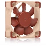 Noctua NF-A4x10 24V PWM, Gehäuselüfter braun/beige