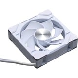 Phanteks D30-120 PWM Reverse DRGB, Gehäuselüfter weiß, 120 mm