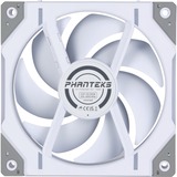 Phanteks D30-120 PWM Reverse DRGB, Gehäuselüfter weiß, 120 mm