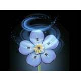 Revell Blossom Festival Holzblumen, Basteln holz