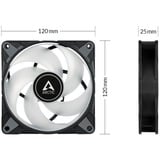 ARCTIC P12 PWM PST A-RGB 0dB 120x120x25, Gehäuselüfter schwarz, 120 mm