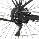 FISCHER Fahrrad Terra 8.0i, Pedelec schwarz (matt), 29", 43 cm Rahmen