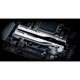 G.Skill DIMM 48 GB DDR5-8000 (2x 24 GB) Dual-Kit, Arbeitsspeicher silber, F5-8000J4048G24GX2-TR5NS, Trident Z5 Royal Neo, AMD EXPO