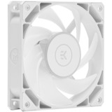 EKWB EK-Loop Fan FPT 120 D-RGB - White, Gehäuselüfter weiß