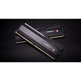 G.Skill DIMM 48 GB DDR5-8000 (2x 24 GB) Dual-Kit, Arbeitsspeicher schwarz, F5-8000J3848F24GX2-TZ5RK, Trident Z5, INTEL XMP