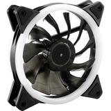 Sharkoon SHARK Blades PWM RGB Fan, Gehäuselüfter schwarz, 120 mm