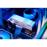 Kingston FURY DIMM 32 GB DDR5-6000  , Arbeitsspeicher weiß, KF560C40BWA-32, FURY Beast RGB, INTEL XMP