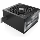 RAIJINTEK ERMIS EVO 850B, PC-Netzteil schwarz, 1x High Power GPU, 2x PCIe, 850 Watt