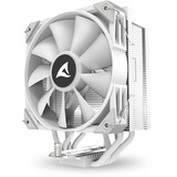 Sharkoon A40 RGB, CPU-Kühler weiß, 120 mm