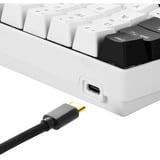 Sharkoon SKILLER SGK50 S4, Gaming-Tastatur weiß/schwarz, US-Layout, Kailh Red
