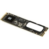 OWC Aura Ultra IV 500 GB, SSD PCIe 4.0 x4, NVMe 1.4, M.2 2280